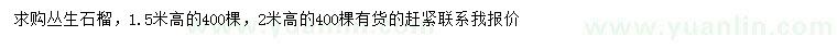 求购高1.5、2米丛生石榴