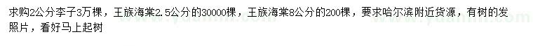 求购2公分李子、2.5、8公分王族海棠