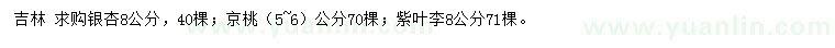 求购银杏、京桃、紫叶李