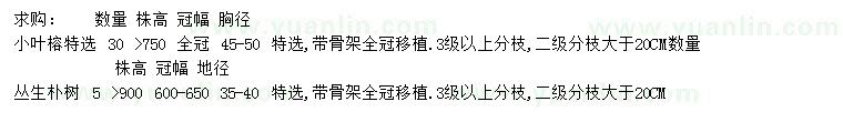 求购胸径45-50公分小叶榕、地径35-40公分丛生朴树