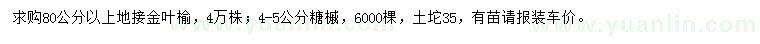 求购80公分以上地接金叶榆、4-5公分糖槭