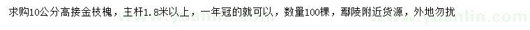 求购10公分高接金枝槐