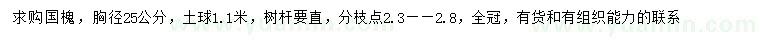 求购胸径25公分国槐