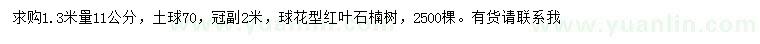 求购1.3米量11公分红叶石楠