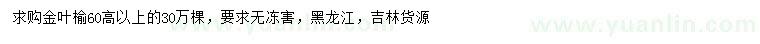 求购高60公分以上金叶榆