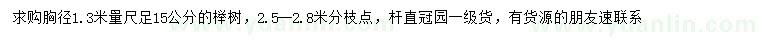 求购胸径1.3米量足15公分榉树