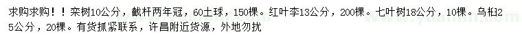 求购栾树、红叶李、七叶树等