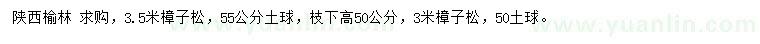 求购.、3.5米樟子松