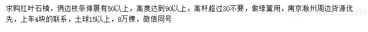 求购高90公分以上红叶石楠色块苗