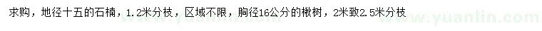求购地径15公分石楠、胸径16公分楸树