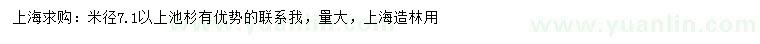 求购米径7.1公分以上池杉