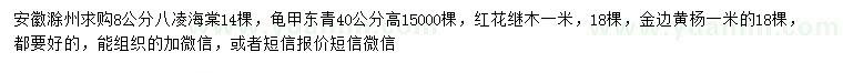 求购八凌海棠、龟甲东青、红花继木等