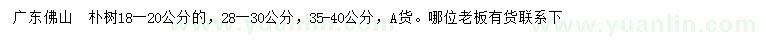 求购18-20、28-30、35-40公分朴树