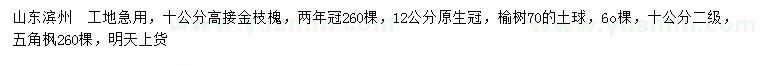 求购金枝槐、榆树、五角枫