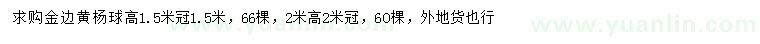 求购冠幅1.5、2米金边黄杨球