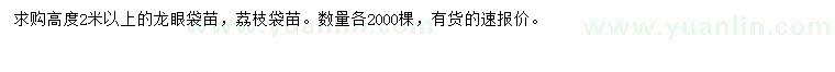 求购高2米以上荔枝、龙眼袋苗