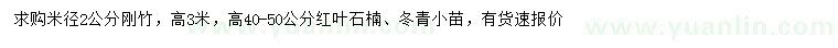 求购刚竹、红叶石楠、冬青小苗