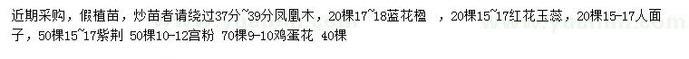 求购凤凰木、蓝花楹、红花玉蕊等