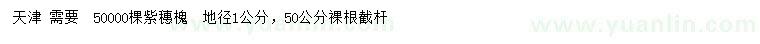 求购地径1公分紫穗槐