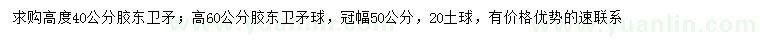 求购高40公分胶东卫矛、高60公分胶东卫矛球