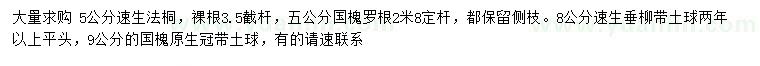 求购速生法桐、速生垂柳、国槐