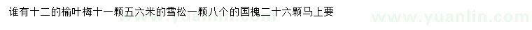 求购榆叶梅、雪松、国槐