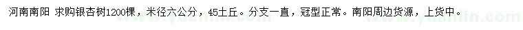 求购米径6公分银杏树