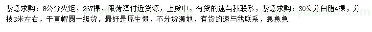 求购8公分火炬、30公分白腊