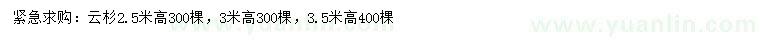 求购高2.5、3、3.5米云杉