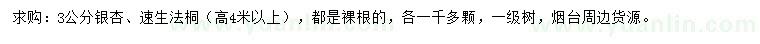 求购3公分银杏、速生法桐