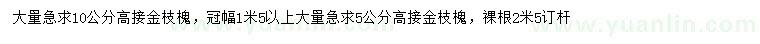 求购5、10公分高接金枝槐