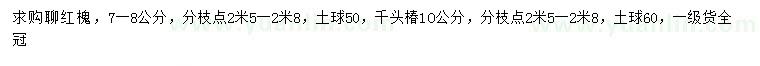 求购7-8公分红槐、10公分千头椿