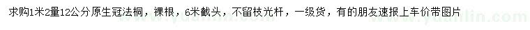 求购1.2米量12公分法桐