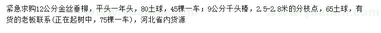 求购12公分金丝垂柳、9公分千头椿