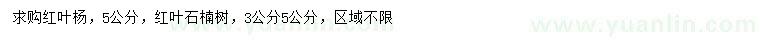 求购5公分红叶杨、3、5公分红叶石楠