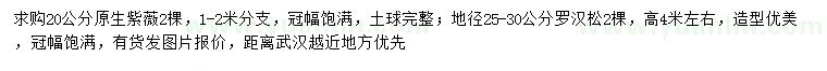 求购20公分原生紫薇、地径25-30公分罗汉松