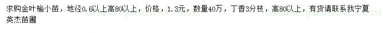 求购高80公分以上金叶榆、丁香