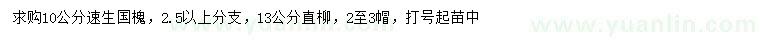 求购10公分速生国槐、13公分直柳