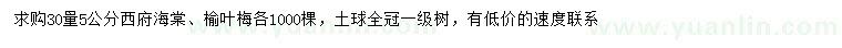 求购30量5公分西府海棠、榆叶梅