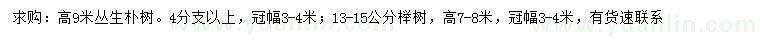 求购高9米丛生朴树、13-15公分榉树