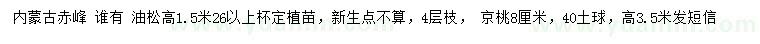 求购高1.5米油松、8公分京桃