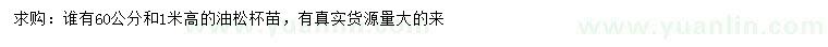 求购高60、100公分油松