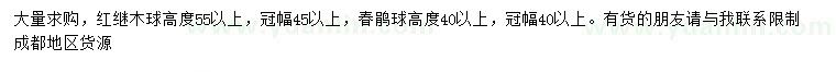 求购高度55公分以上红继木球、40公分以上春鹃球