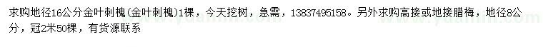 求购地径16公分金叶刺槐（金叶刺槐）、8公分腊梅