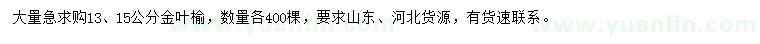 求购13、15公分金叶榆