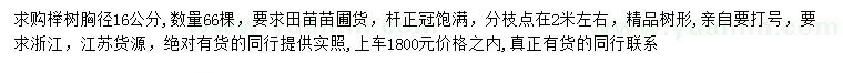 求购胸径16公分榉树