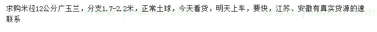 求购米径12公分广玉兰