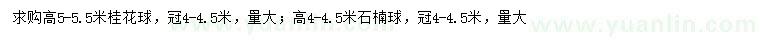 求购高5-5.5米桂花球、高4-4.5米石楠球