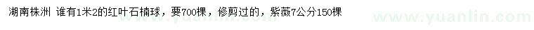 求购1.2米红叶石楠球、7公分紫薇