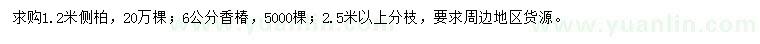 求购1.2米侧柏、6公分香椿